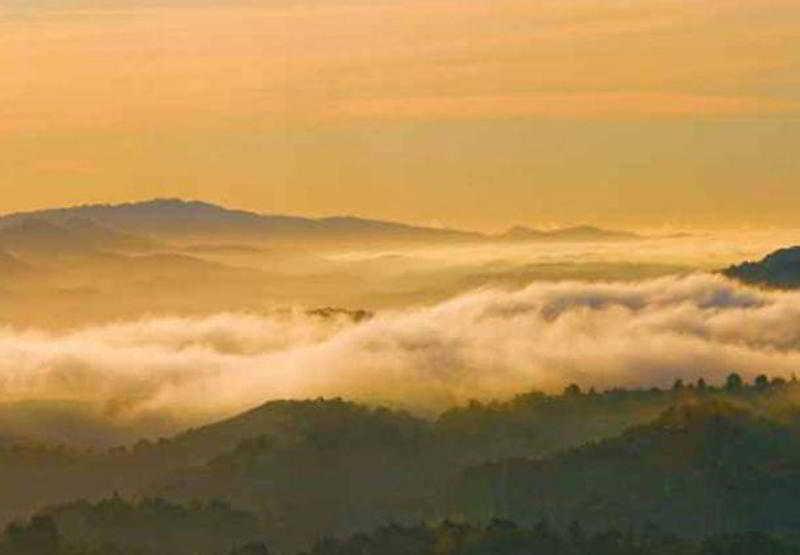Residence Inn San Ramon San Ramon